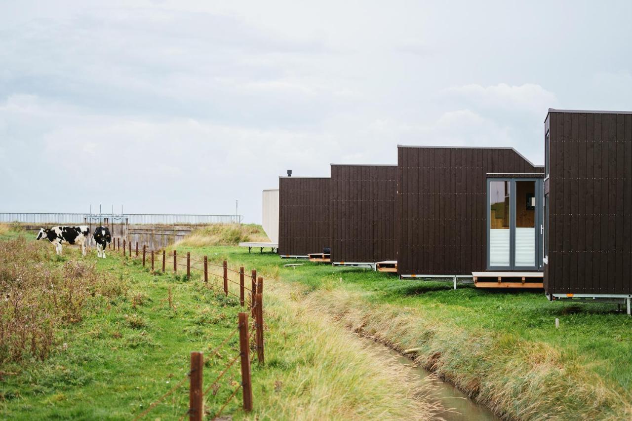 Tiny House Nature 13 Zur Kuhweide - Green Tiny Village Harlesiel 카롤리넨시엘 외부 사진